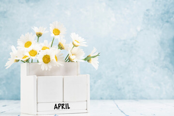 cube calendar for April with daisy flowers over blue background