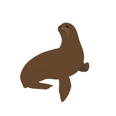 Fur seal. Ocean animal. Vector illustration.
