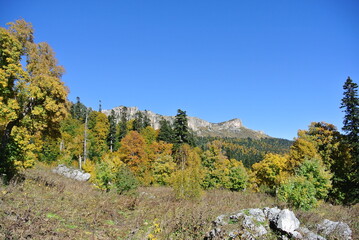 Trekking in the Caucasus Nature Reserve, Guzeripl Pass