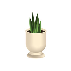 Decorative 3d green houseplants in milk-colored pots. Isolated object on a white background.