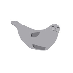 Fur seal. Ocean animal. Vector illustration.
