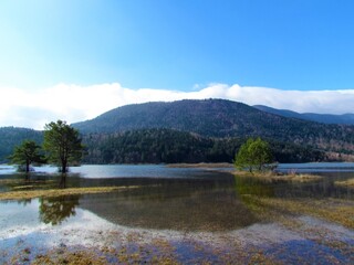 Scenic view of beautiful lake Cerknica or Cerknisko jezero in Notranjska region of Slovenia with blue sky