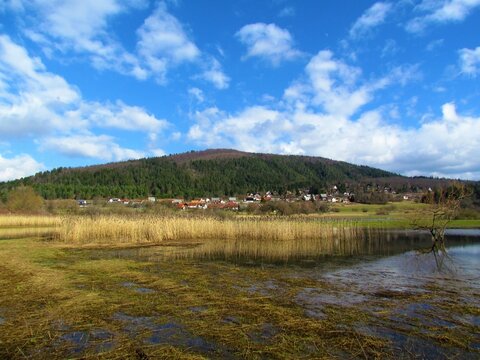 View of Lake Cerknica in Notranjska, Slovenia with reeds in the lake and a village bellow a forest covered hill