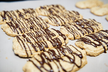 Selective focus on a close-up of tasty chocolate butter cookies on a freshly baked tray.