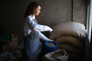 Young woman worker roaster packing fills green coffee beans jar with scoop. Green coffee beans in...