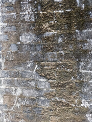 ancient Chinese building stone wall texture with dried moss lichen grime
