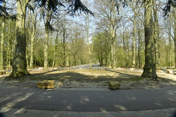 L'ombre des arbres sur une route en plein bois au parc de Laeken à Bruxelles