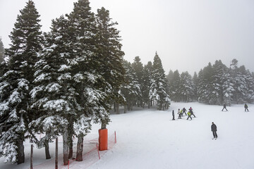 Uludag National Park view in Turkey. Uludag Mountain is ski resort of Turkey