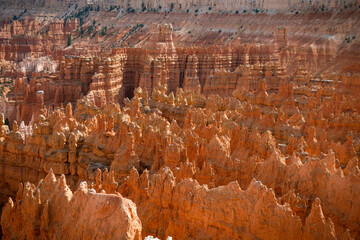 Bryce Canyon Hoodoo
