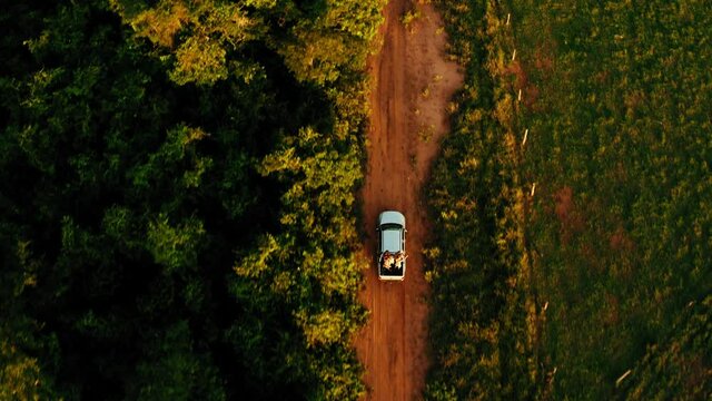 brazil backcountry bush outdoor sunset people on back of pickup truck driving aerial topview drone dirt road holiday travel 4k