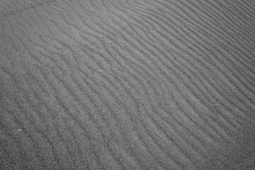 Grooves created by seeing in the desert sand of a beach dune. Black and white image