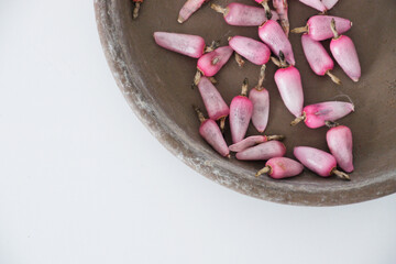 Melocactus seeds in seedpods close view, cactus seeds