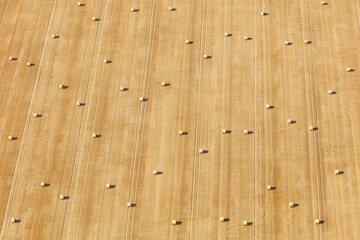 An aerial photograph taken from a helicopter of a field of wheat in the UK at the end of summer. Many hay bales can be seen in a bright yellow field making a beautiful striped background pattern. © Tom Falcon Harding 