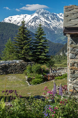 Mont Pourri , Paysage des Alpes Grées au  printemps , Savoie , France