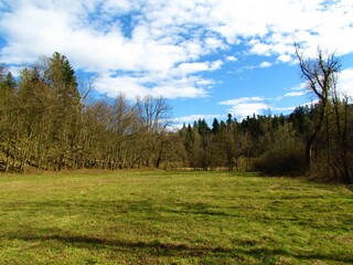 Fototapeta na wymiar Beautigul field of grass surrounded by a forest in Notranjska, Slovenia
