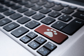 Laptop keyboard with a red key and a drawn pet footprint. Veterinary, pet, online concept.