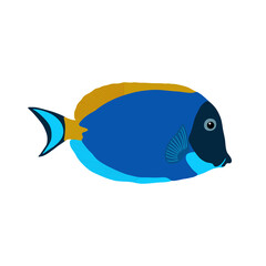 Surgeon fish. Sea fish. Vector illustration.
