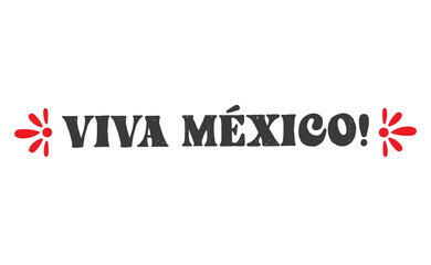 Viva Mexico, traditional mexican phrase, lettering vector illustration. Hand drawn style handwritten text.