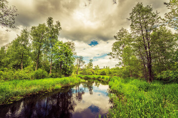 River in a marshy forest terrain on a cloudy summer day. View from above over the river