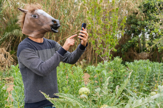 Man with horse head mask using smartphone outdoor in vegetables garden.Male outdoor using technology in nature, countryside.Copy space.