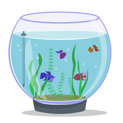 Round aquarium with fish and plants. Isolated vector image on white background. Colored Fish in the Aquarium.