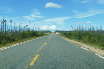 Bumpy permafrost road with taiga boreal forest landscape, Alaska, United States