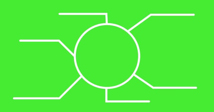 Infographic circle element animation 4k video.