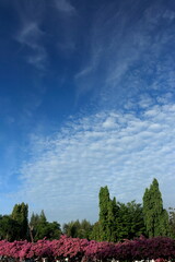 Obraz premium White clouds and blue sky