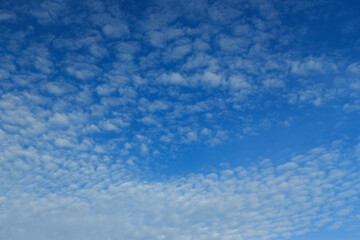 Fototapeta premium White clouds and blue sky
