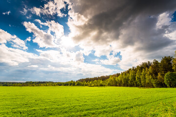 Field in the forest lit by the sun coming out from under the clouds