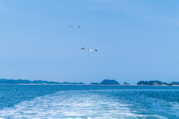 海と鳥の居る景色