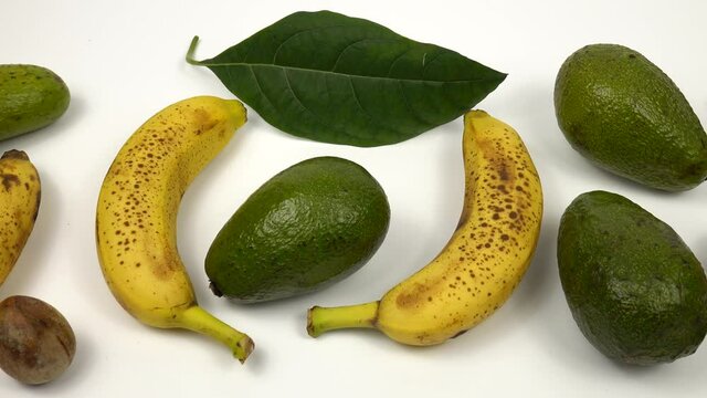 Whole avocados, speckled bananas, avocado seed and avocado leaves arranged in a row on the white table