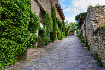 Fototapeta na wymiar Old medieval village houses with steep narrow alley and ivy facades. Patones de Arriba Madrid.