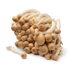 Bunch of fresh raw asian shimeji mushrooms close up isolated on white background 