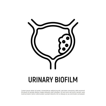 Urinary biofilm. Thin line icon. Urinary tract infection. Vector illustration.
