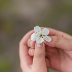 flower in hand