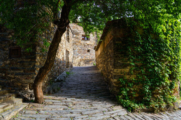 Small alley with stone facades covered by green ivy in spring. Patones de Arriba Madrid.