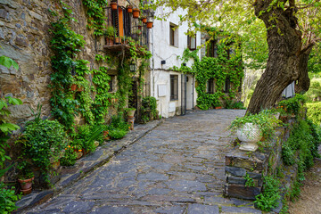 Beautiful old houses covered with ivy in medieval village. Patones de Arriba Madrid.