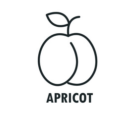 Apricot in flat style. Apricot vector logo. Apricot icon. Isolated object. Natural food. Vector illustration. Apricot on white background