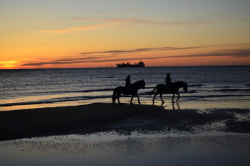 Sunset on the beach with horses