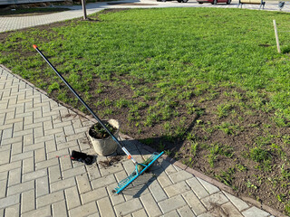 A bucket and a rake are prepared for cleaning and gardening near the lawn in the yard of the house....