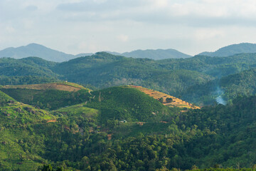 Fototapeta premium Beautiful view of local valley and mountain in misty near Bao Loc city, Lam Dong province, Vietnam