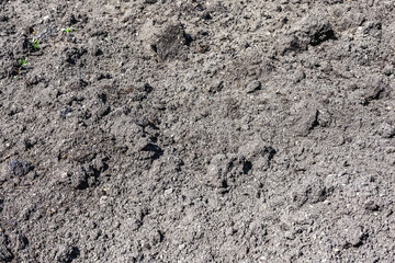Spring field work .The plowed black earth is prepared for planting vegetables. 
