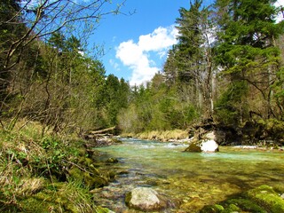 Beautiful green colored Kamniska Bistrica river in Slovenia in spring with snow covered mountain peak in Kamnik-Savinja alps behind
