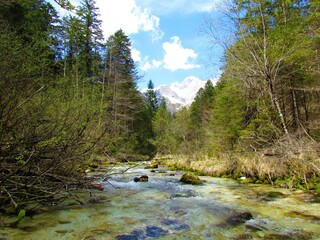 Beautiful green colored Kamniska Bistrica river in Slovenia in spring with snow covered mountain peak in Kamnik-Savinja alps behind