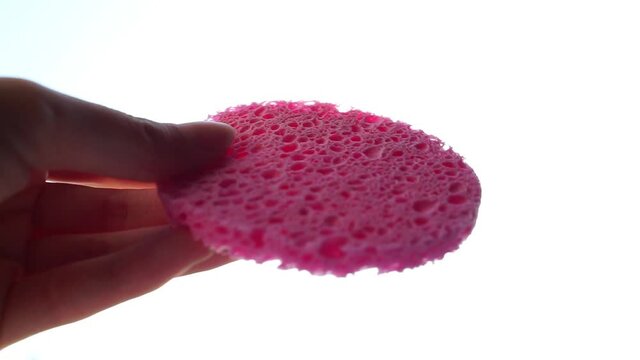 New pink sponge in a female hand on a white bright background.
