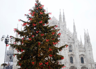 Huge Christmas Tree in front of Metropolitan Cathedral-Basilica of the Nativity of Saint Mary