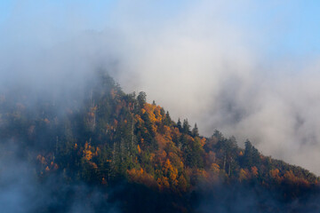 Mountain with Morning Mist