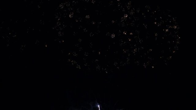 Multiple fireworks explode in the night sky.