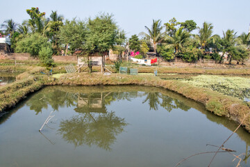 Pictures of the beautiful landscape of rural West Benga